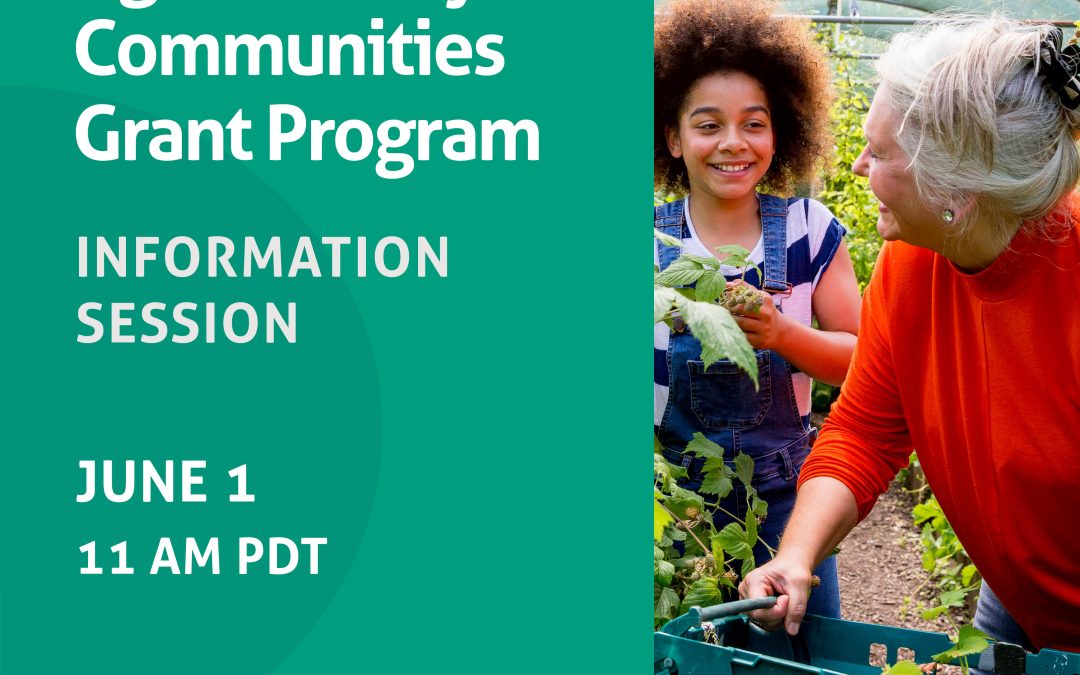 On-demand Webinar: 2022 Age-friendly Communities Grant Program information session