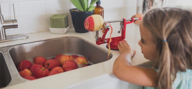 Rapid Action Resources for Local Governments: Community Food Production