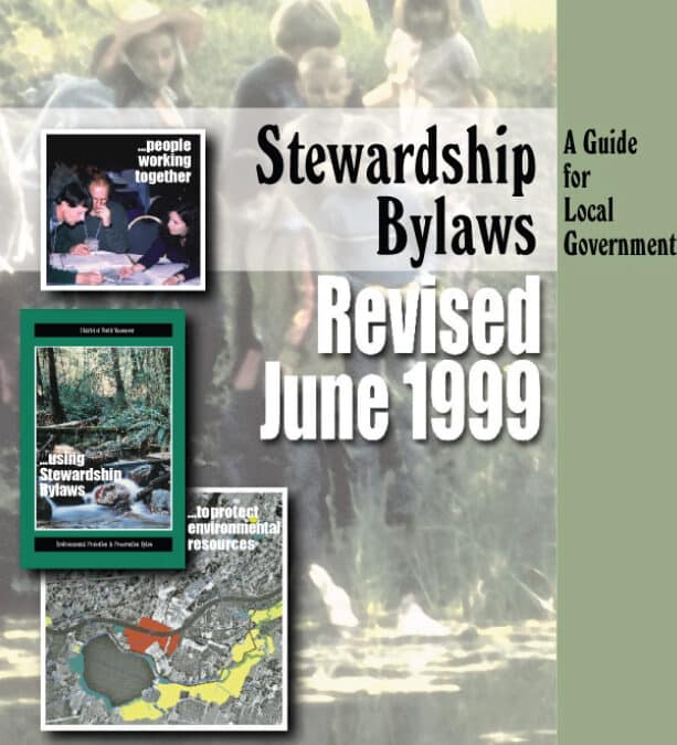 Stewardship Bylaws