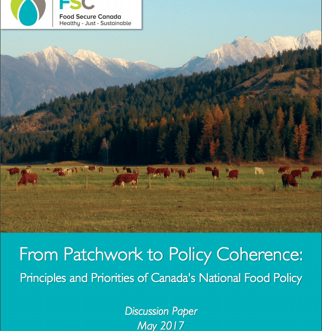 From Patchwork to Policy Coherence: Principles and Priorities of Canada's National Food Policy