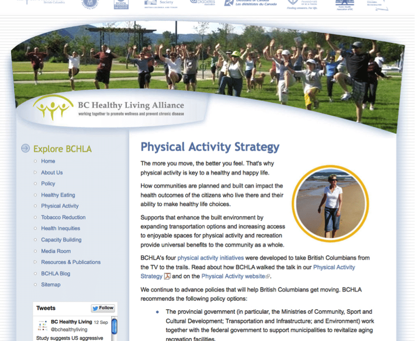 Physical Activity Strategy